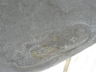 Photo4